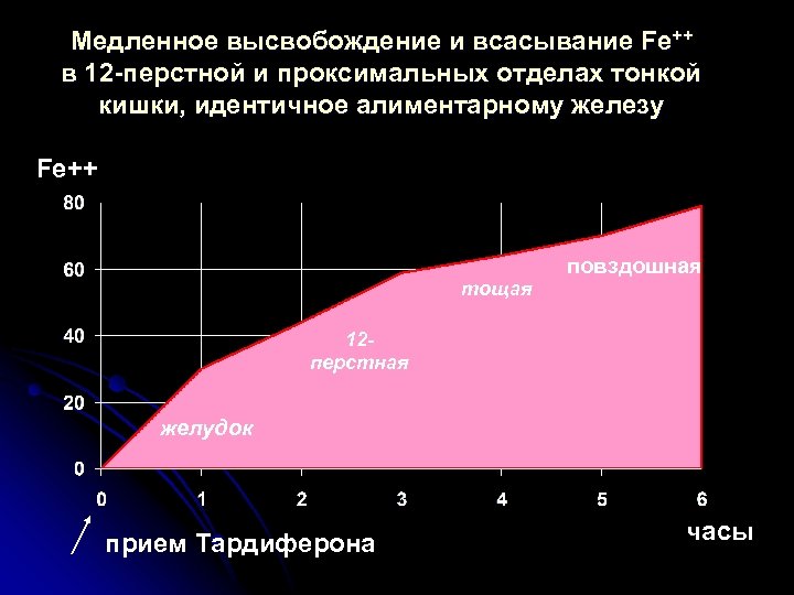 Медленное высвобождение и всасывание Fe++ в 12 -перстной и проксимальных отделах тонкой кишки, идентичное