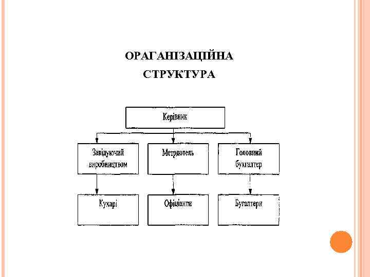 ОРАГАНІЗАЦІЙНА СТРУКТУРА 