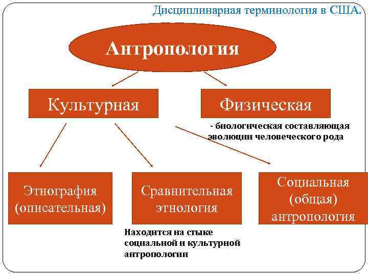 Культурная антропология