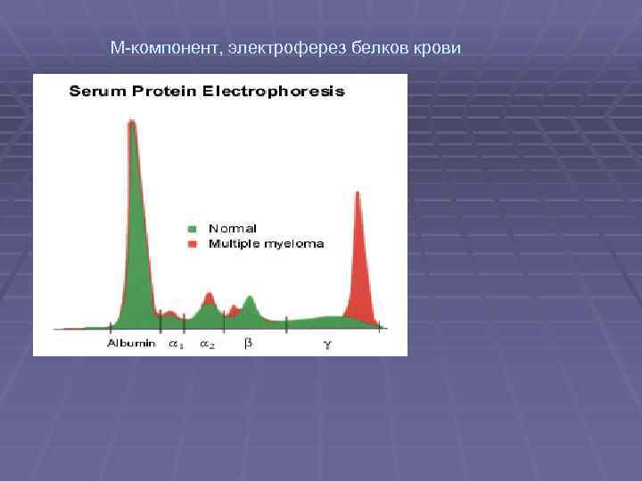 М-компонент, электроферез белков крови 