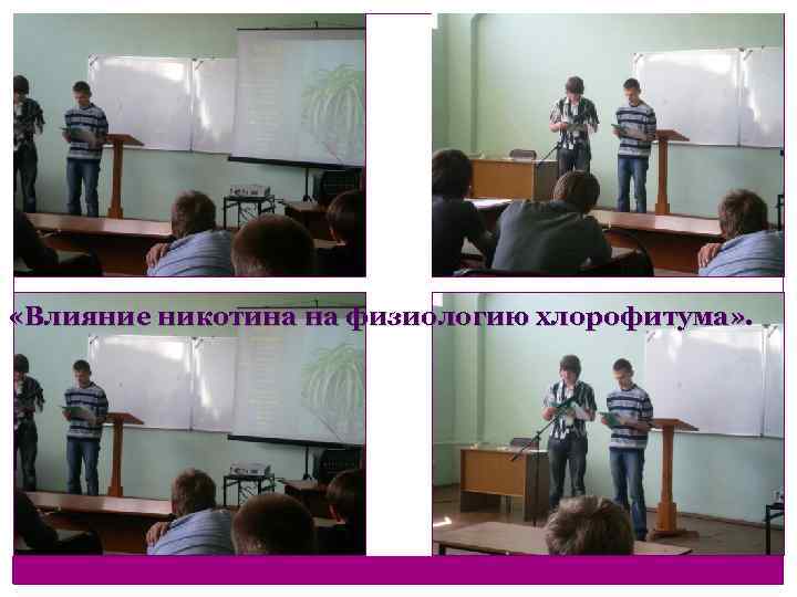  «Влияние никотина на физиологию хлорофитума» . 
