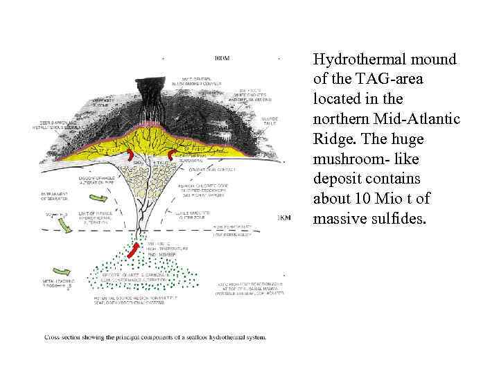 Hydrothermal mound of the TAG-area located in the northern Mid-Atlantic Ridge. The huge mushroom-