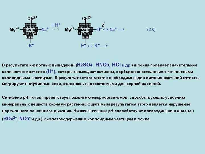 Ca 2+ │ ▓▓▓▓ Mg 2+--▓колл▓--Na+ ▓ч-ца▓ ▓▓ │ K+ Ca 2+ + H+