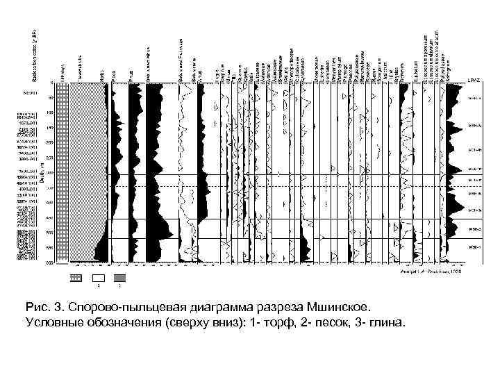 Рис. 3. Спорово-пыльцевая диаграмма разреза Мшинское. Условные обозначения (сверху вниз): 1 - торф, 2