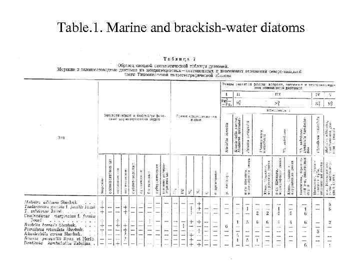 Table. 1. Marine and brackish-water diatoms 
