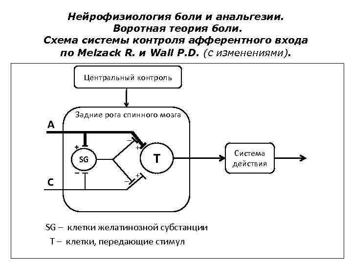 Представление о больном схема