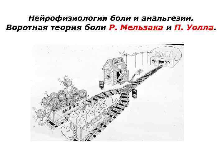 Нейрофизиология боли и анальгезии. Воротная теория боли Р. Мельзака и П. Уолла. 