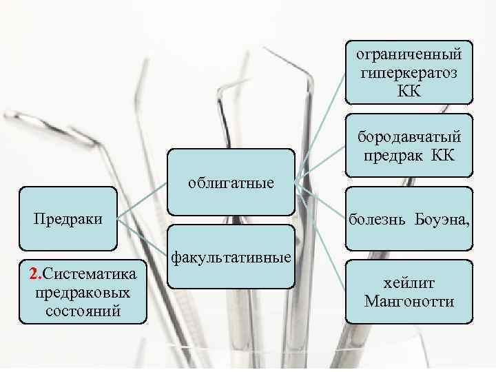 ограниченный гиперкератоз КК бородавчатый предрак КК облигатные болезнь Боуэна, Предраки 2. Систематика предраковых состояний