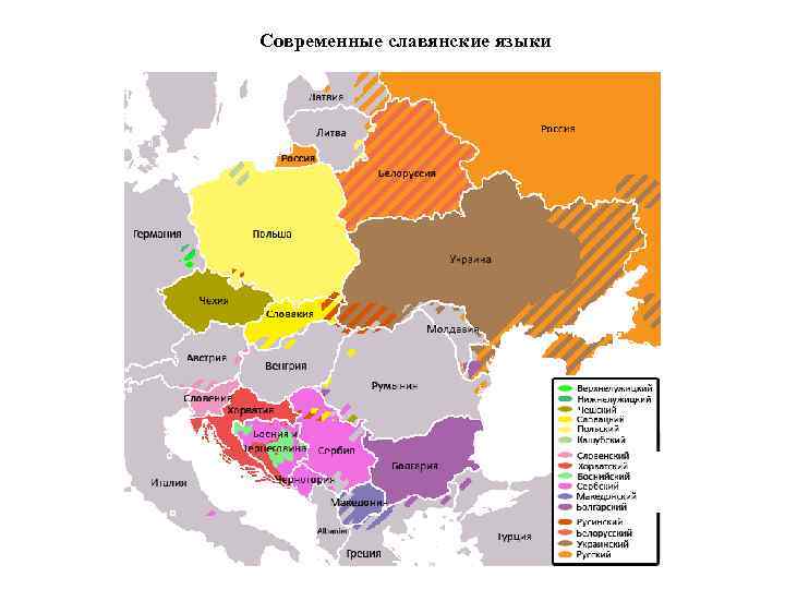 Современные славянские языки 