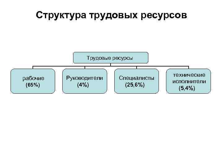 Процесс развития трудовых ресурсов. Структура трудовых ресурсов.