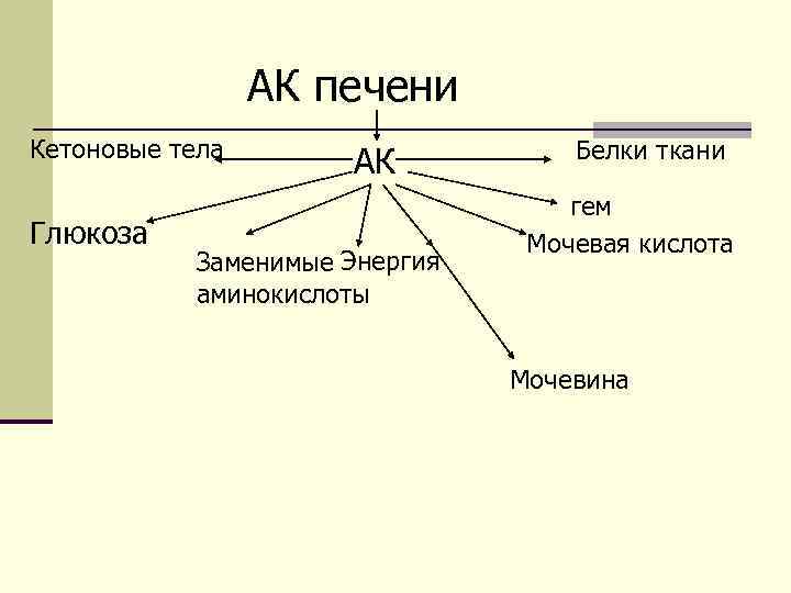 АК печени Кетоновые тела Глюкоза АК Заменимые Энергия аминокислоты Белки ткани гем Мочевая кислота