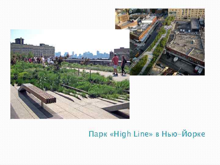 Парк «High Line» в Нью-Йорке 