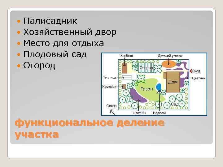 Палисадник Хозяйственный двор Место для отдыха Плодовый сад Огород функциональное деление участка 