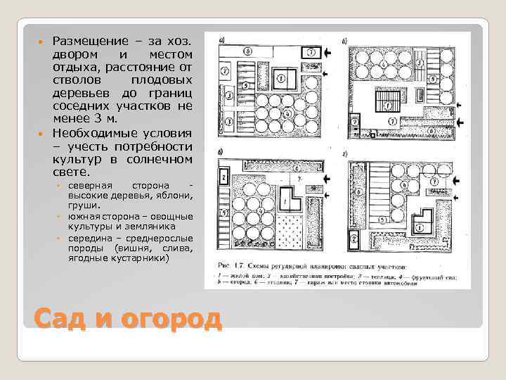 Размещение – за хоз. двором и местом отдыха, расстояние от стволов плодовых деревьев до
