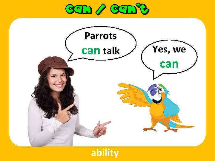 Parrots can talk ability Yes, we can 