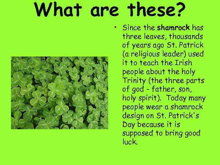 What are these? • Since the shamrock has three leaves, thousands of years ago