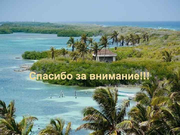 Спасибо за внимание!!! 
