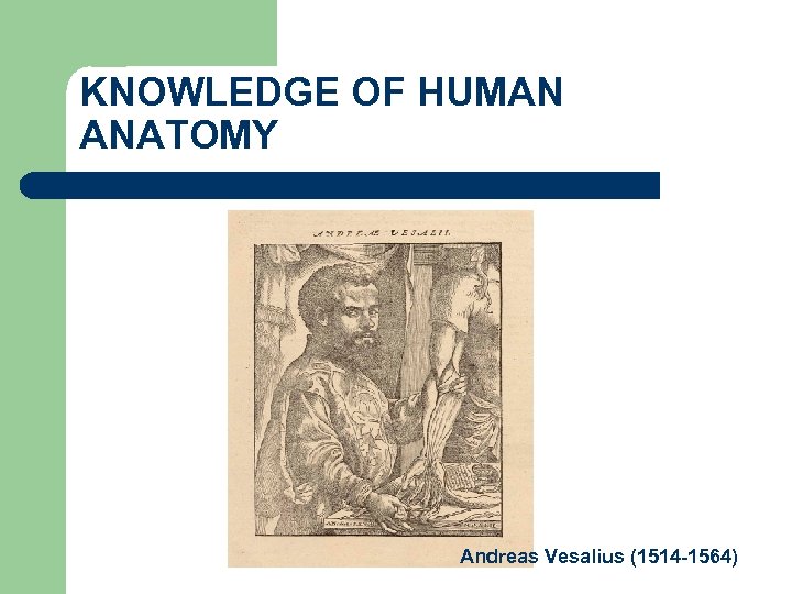KNOWLEDGE OF HUMAN ANATOMY Andreas Vesalius (1514 -1564) 