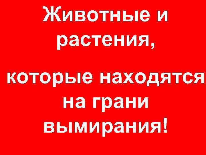 Животные и растения, которые находятся на грани вымирания! 