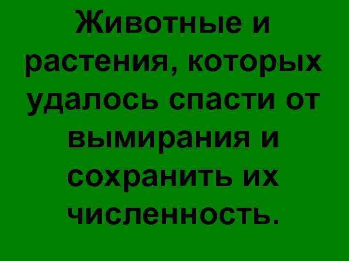 Животные и растения, которых удалось спасти от вымирания и сохранить их численность. 