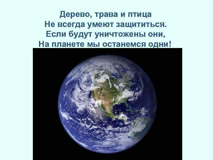 Дерево, трава и птица Не всегда умеют защититься. Если будут уничтожены они, На планете