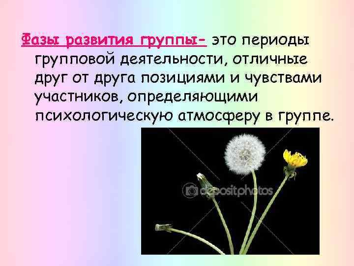 Фазы развития группы- это периоды групповой деятельности, отличные друг от друга позициями и чувствами