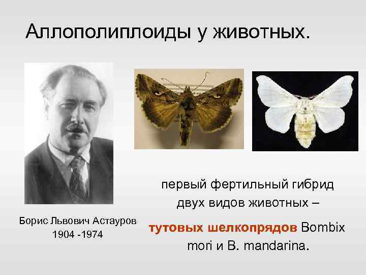 Аллополиплоиды у животных. первый фертильный гибрид двух видов животных – Борис Львович Астауров 1904