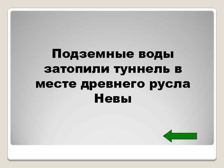 Подземные воды затопили туннель в месте древнего русла Невы 
