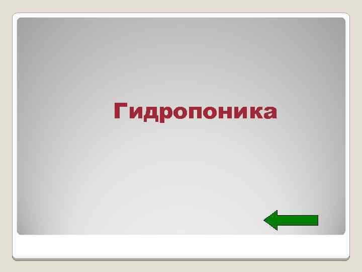 Гидропоника 