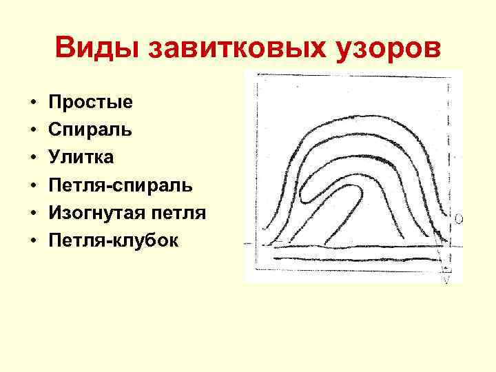 Завитковый узор. Виды завитковых. Типы завитковых узоров. Петля спираль завитковый узор. Изогнутая петля завитковый узор.