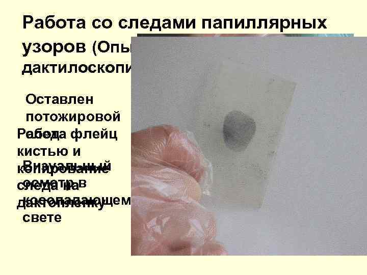 Работа со следами папиллярных узоров (Опыление дактилоскопическими порошками) Оставлен потожировой след Работа флейц кистью