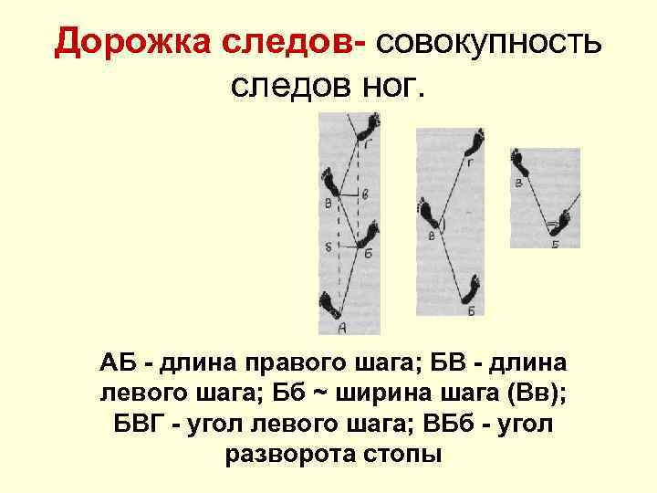 Схема следов ног