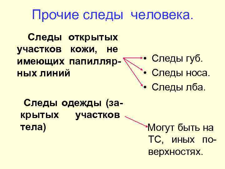 Прочие следы человека. Следы открытых участков кожи, не имеющих папилляр ных линий Следы одежды