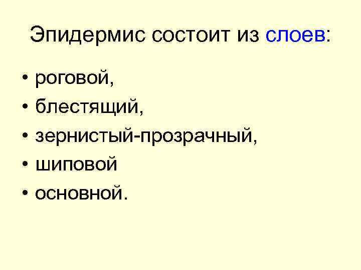 Эпидермис состоит из слоев: • • • роговой, блестящий, зернистый-прозрачный, шиповой основной. 