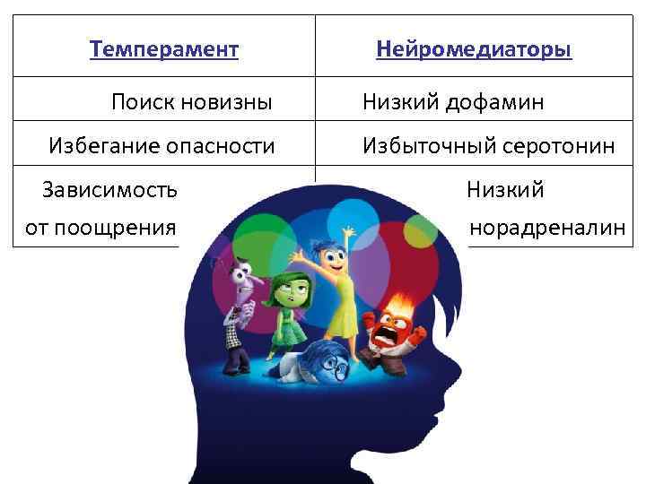 Темперамент Поиск новизны Избегание опасности Зависимость от поощрения Нейромедиаторы Низкий дофамин Избыточный серотонин Низкий