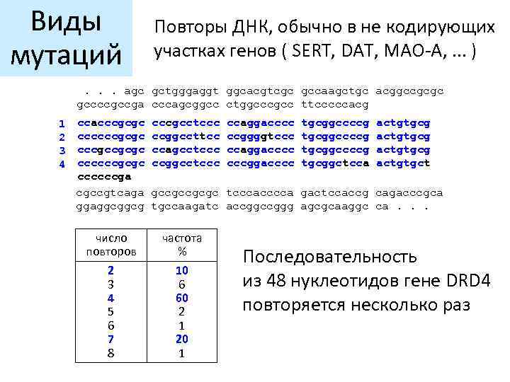 Виды мутаций Повторы ДНК, обычно в не кодирующих участках генов ( SERT, DAT, MAO-A,