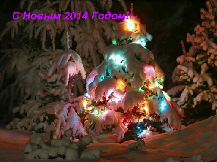 С Новым 2014 Годом! 