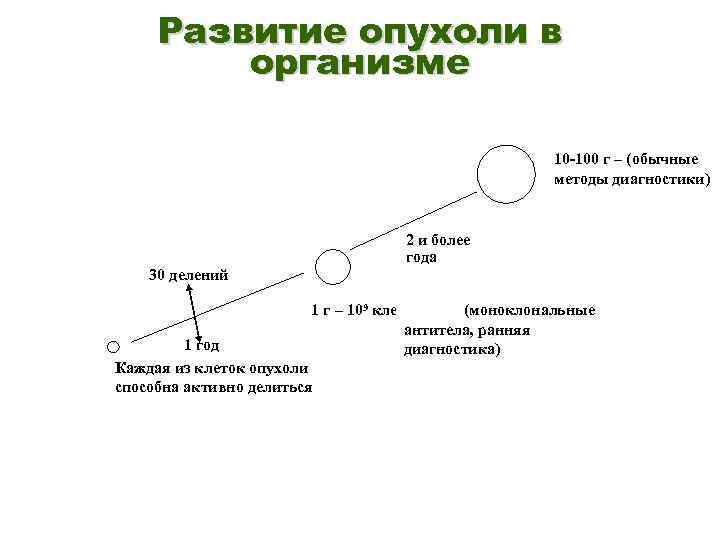 Как развивается опухоль