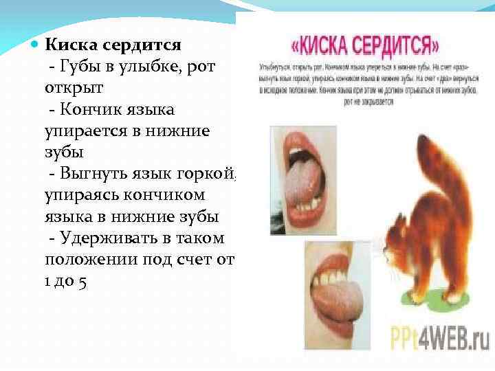  Киска сердится - Губы в улыбке, рот открыт - Кончик языка упирается в