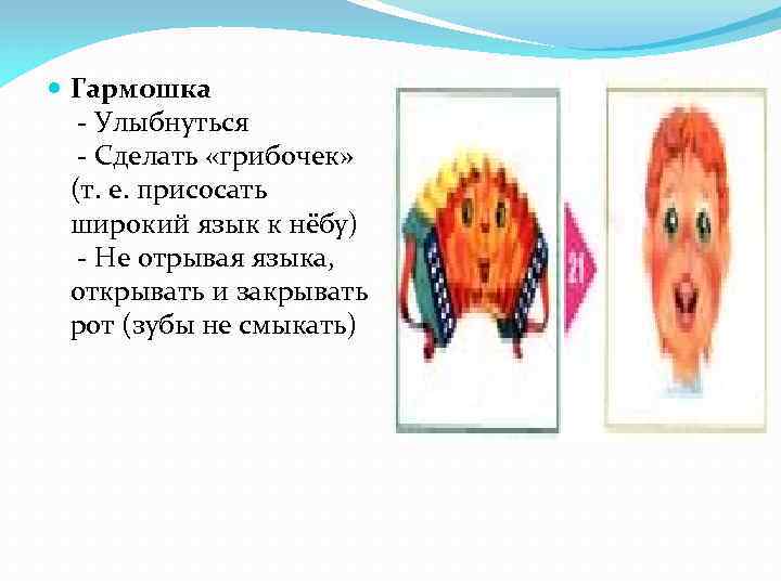  Гармошка - Улыбнуться - Сделать «грибочек» (т. е. присосать широкий язык к нёбу)