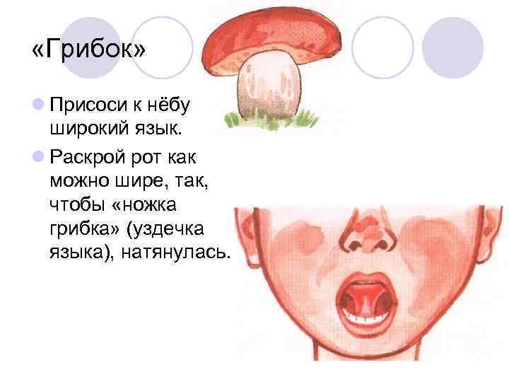  «Грибок» l Присоси к нёбу широкий язык. l Раскрой рот как можно шире,