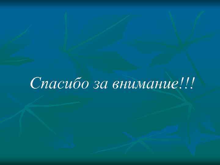 Спасибо за внимание!!! 