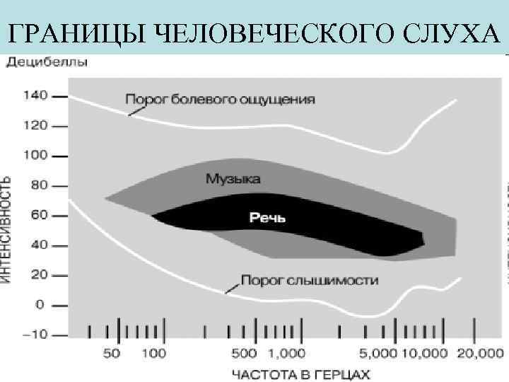 ГРАНИЦЫ ЧЕЛОВЕЧЕСКОГО СЛУХА 