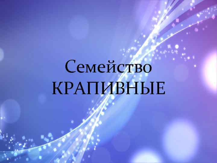 Семейство КРАПИВНЫЕ 