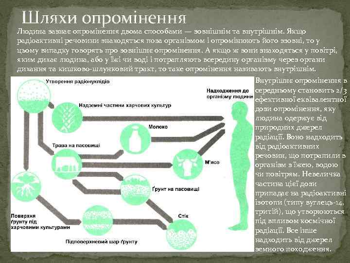 Шляхи опромінення Людина зазнає опромінення двома способами — зовнішнім та внутрішнім. Якщо радіоактивні речовини