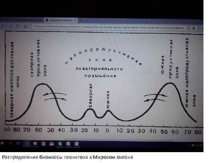 Распределение биомассы планктона в Мировом океане 