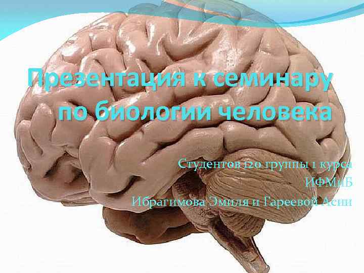 Презентация к семинару по биологии человека Студентов 120 группы 1 курса ИФМи. Б Ибрагимова