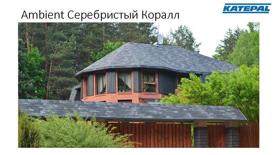 Ambient Серебристый Коралл 