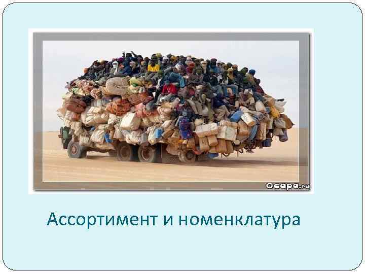 Ассортимент и номенклатура 