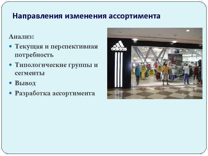 Направления изменения ассортимента Анализ: Текущая и перспективная потребность Типологические группы и сегменты Вывод Разработка
